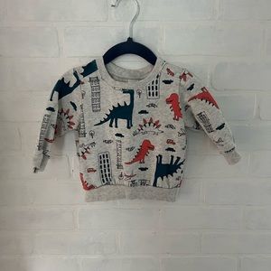 Dino Sweater